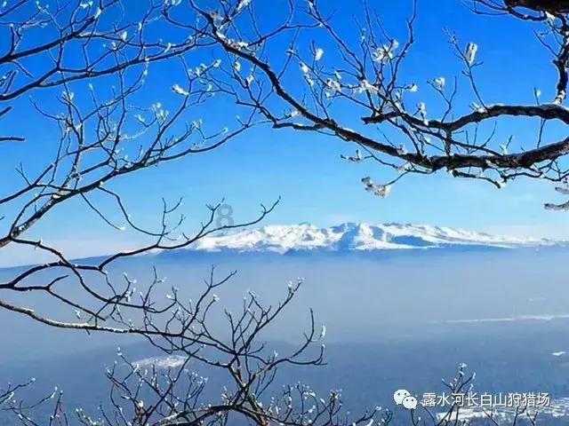 黎明守卫者