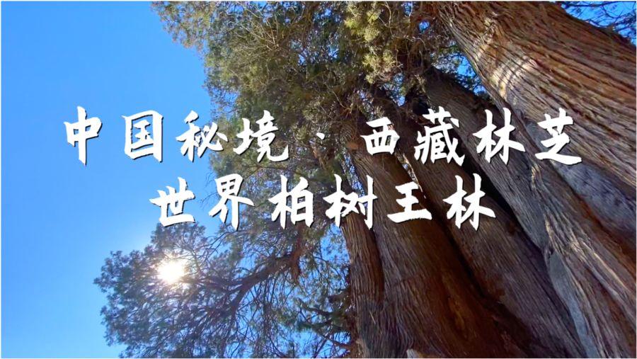 宁德时代与滴滴强强联手,换电赛道又迎新机遇